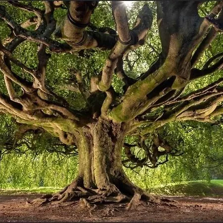 Leptitchezsoi, Calme Et Cosy A 5 Mn Du Centre De Bayeux Vaucelles