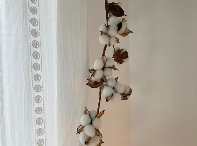 Leptitchezsoi, Calme Et Cosy A 5 Mn Du Centre De Bayeux Vaucelles