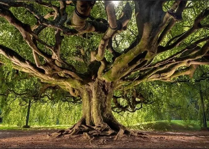Leptitchezsoi, Calme Et Cosy A 5 Mn Du Centre De Bayeux Vaucelles